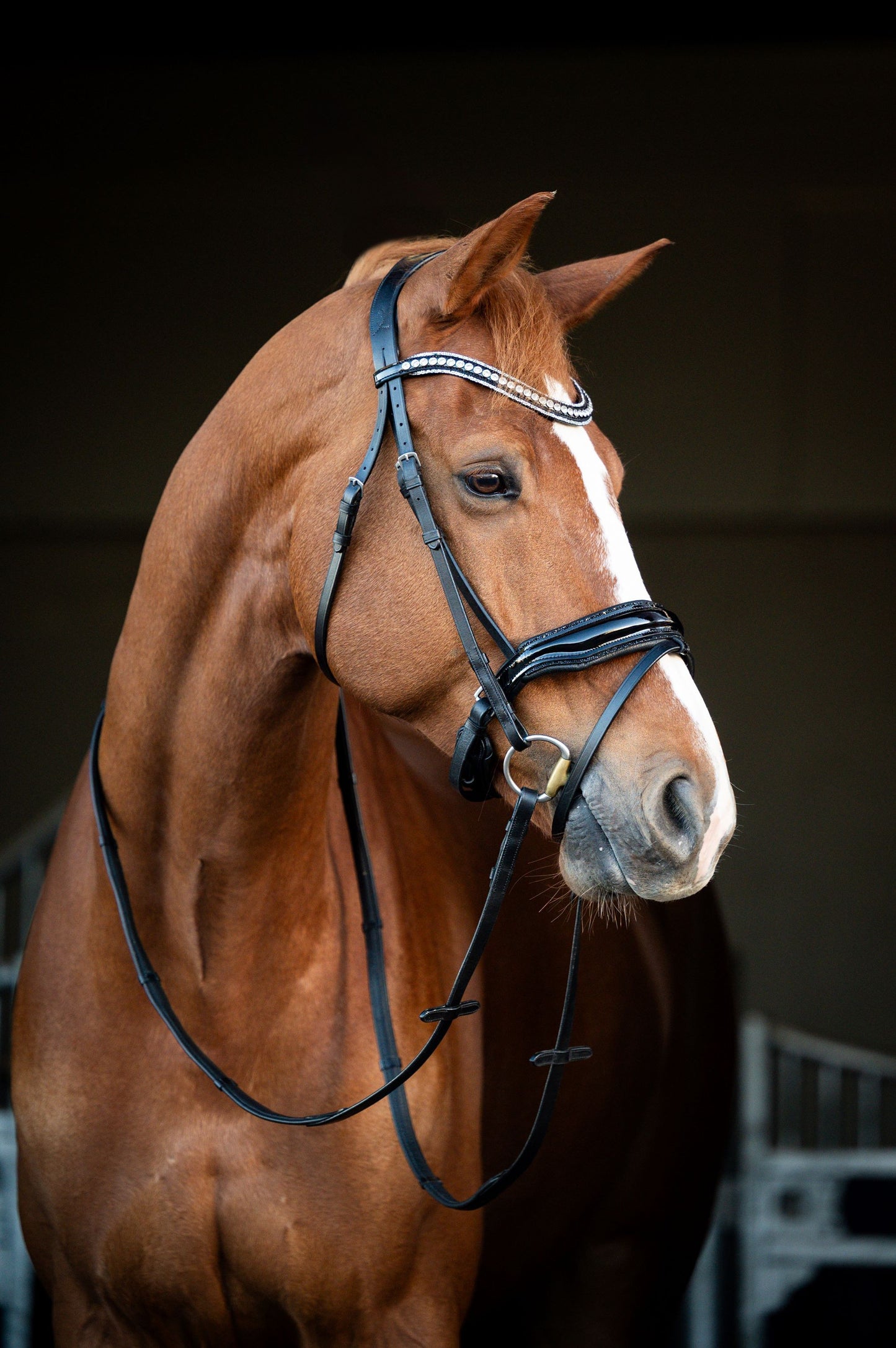 HB Showtime Snowflake