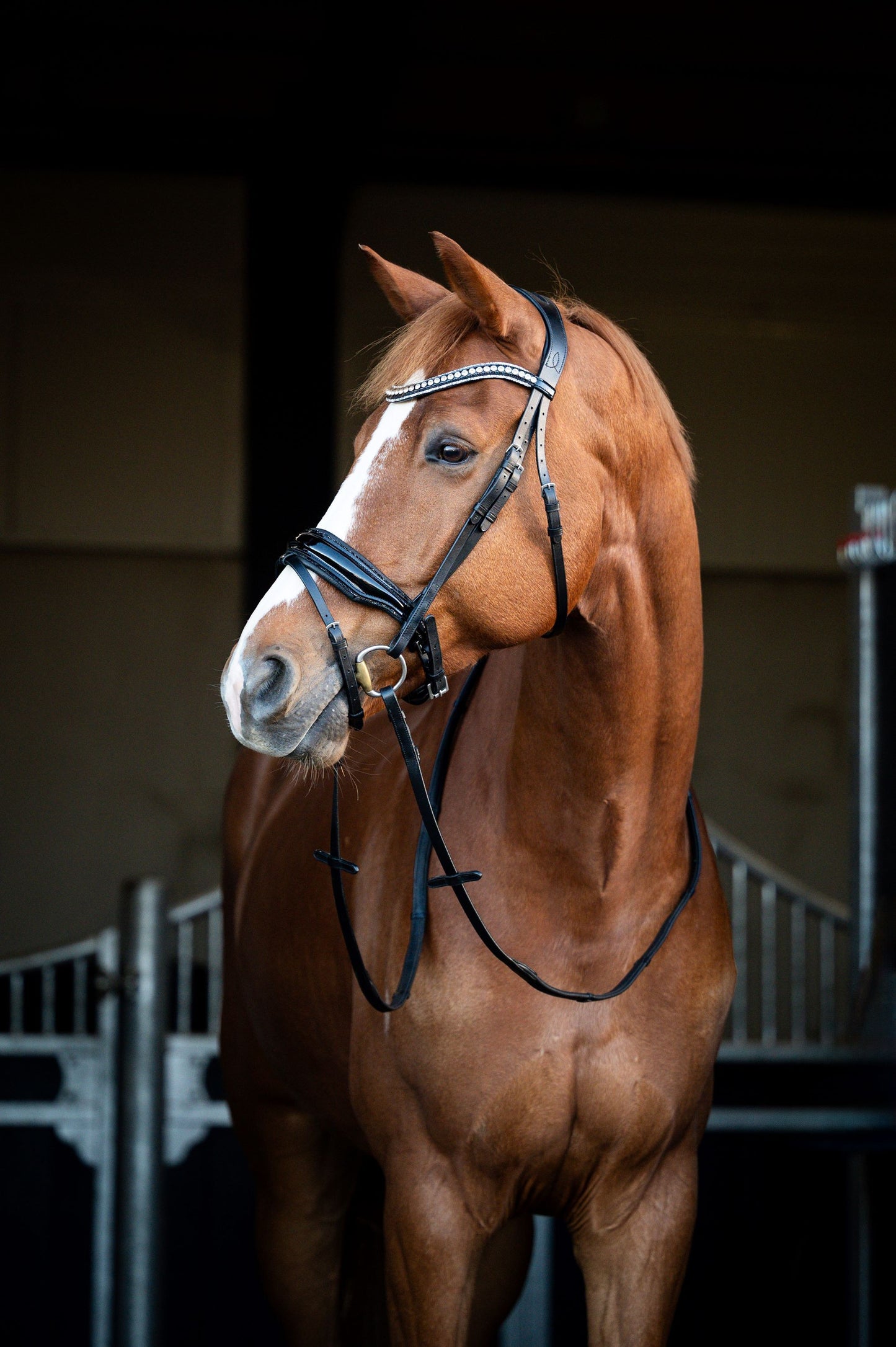 HB Showtime Snowflake