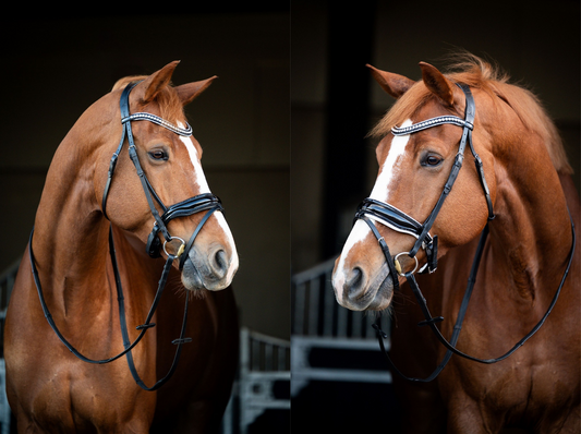 HB Showtime Snowflake