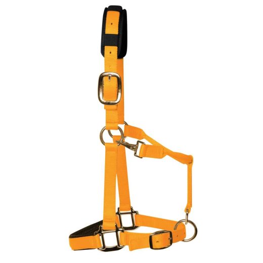 KM Elite Luxe gevoerd halster-Oranje