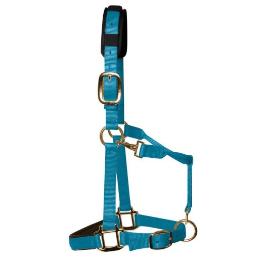 KM Elite Luxe gevoerd halster-Pastel Blauw