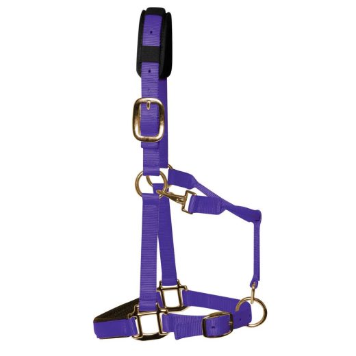 KM Elite Luxe gevoerd halster-Paars