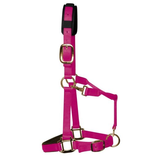 KM Elite Luxe gevoerd halster-Framboos