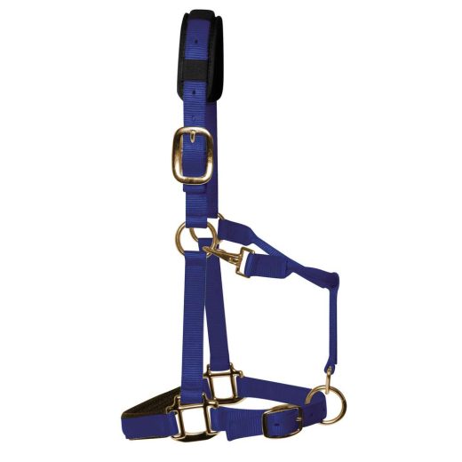KM Elite Luxe gevoerd halster-Royaal Blauw