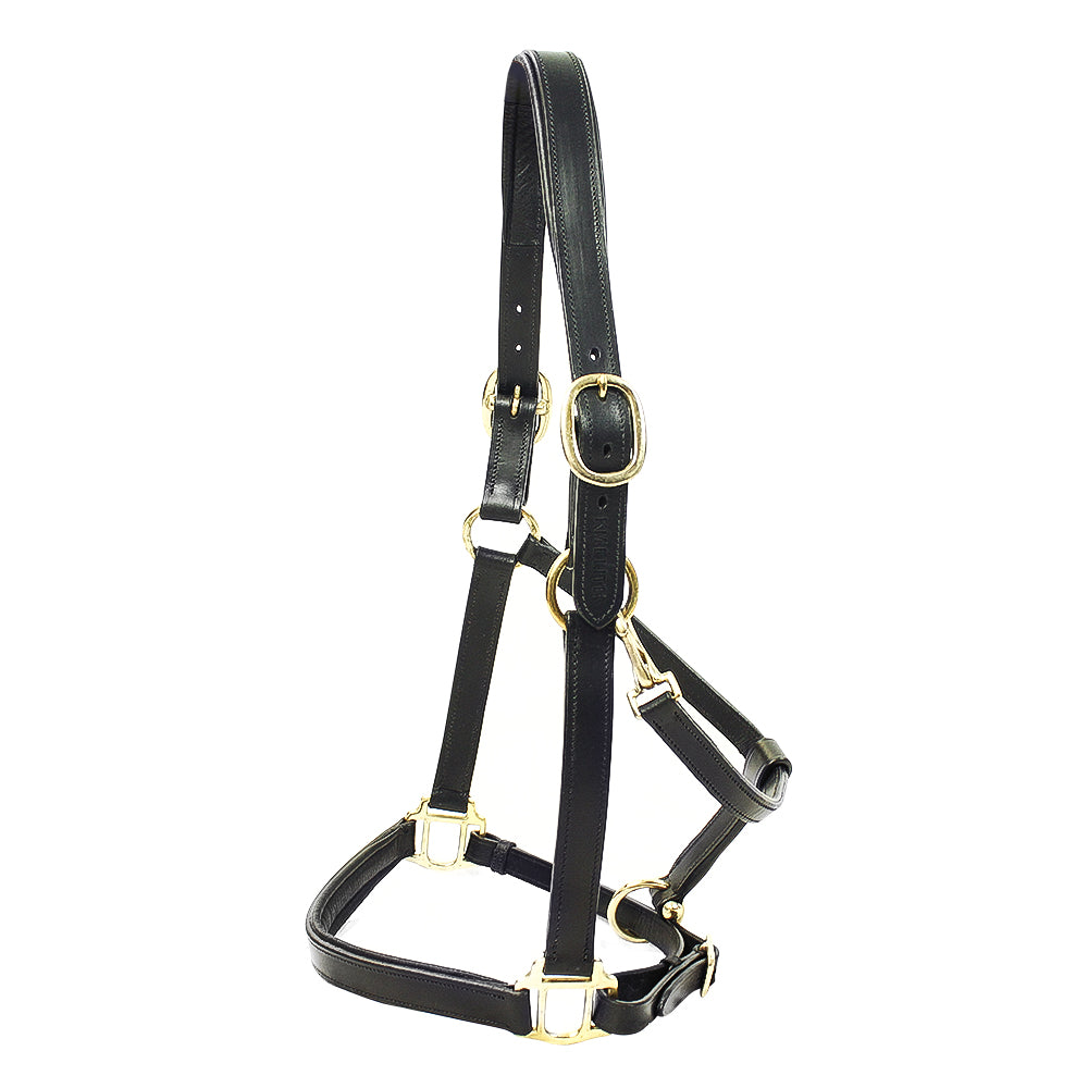 KM Elite Padded Lederen Halster-Zwart