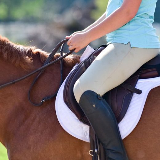 ThinLine Seat Saver