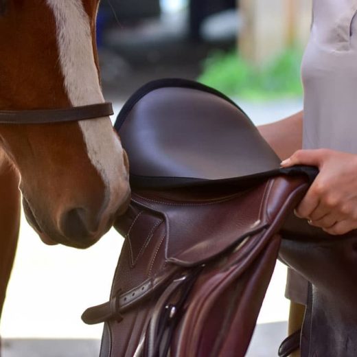 ThinLine Seat Saver