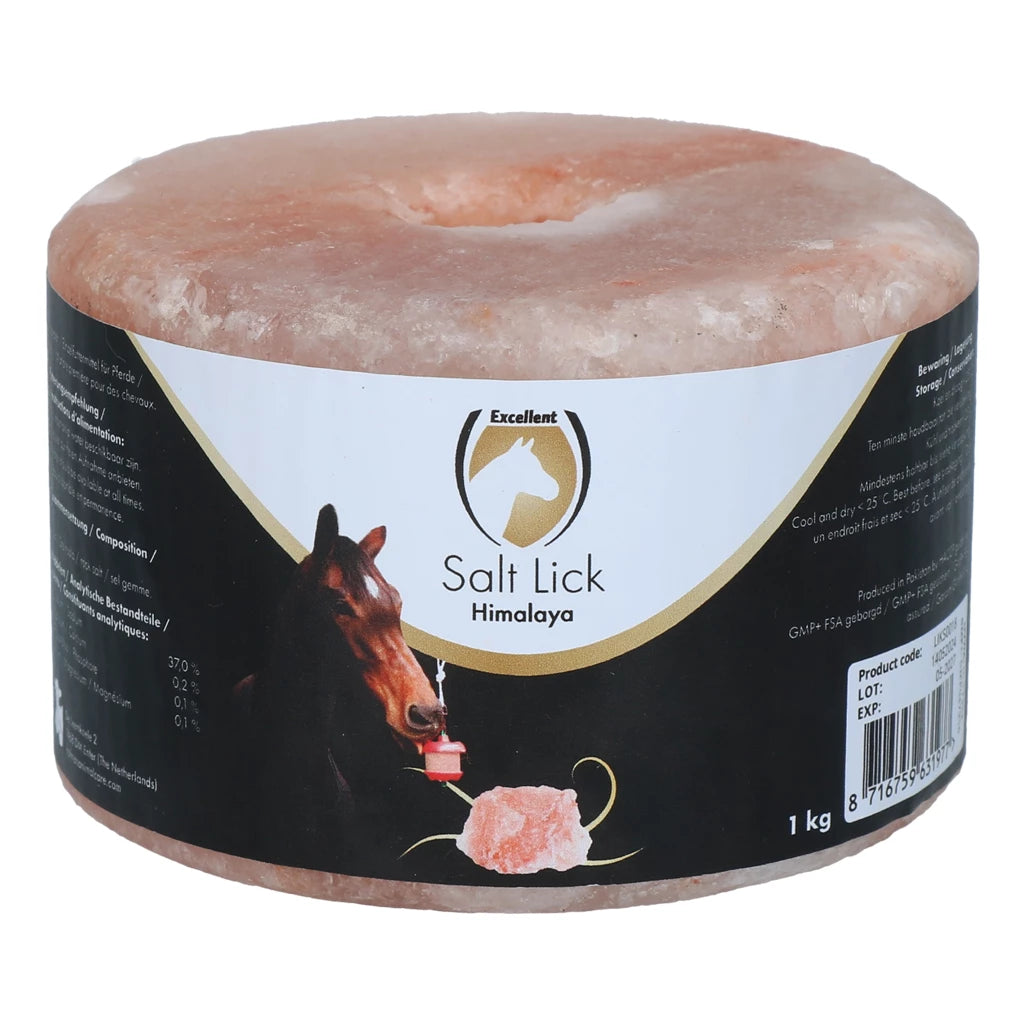 Excellent Horse Salt Lick Himalaya