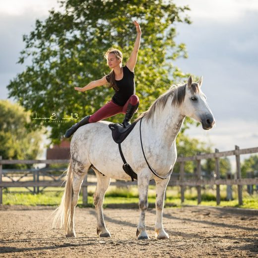 ThinLine Comfort Bareback Pad