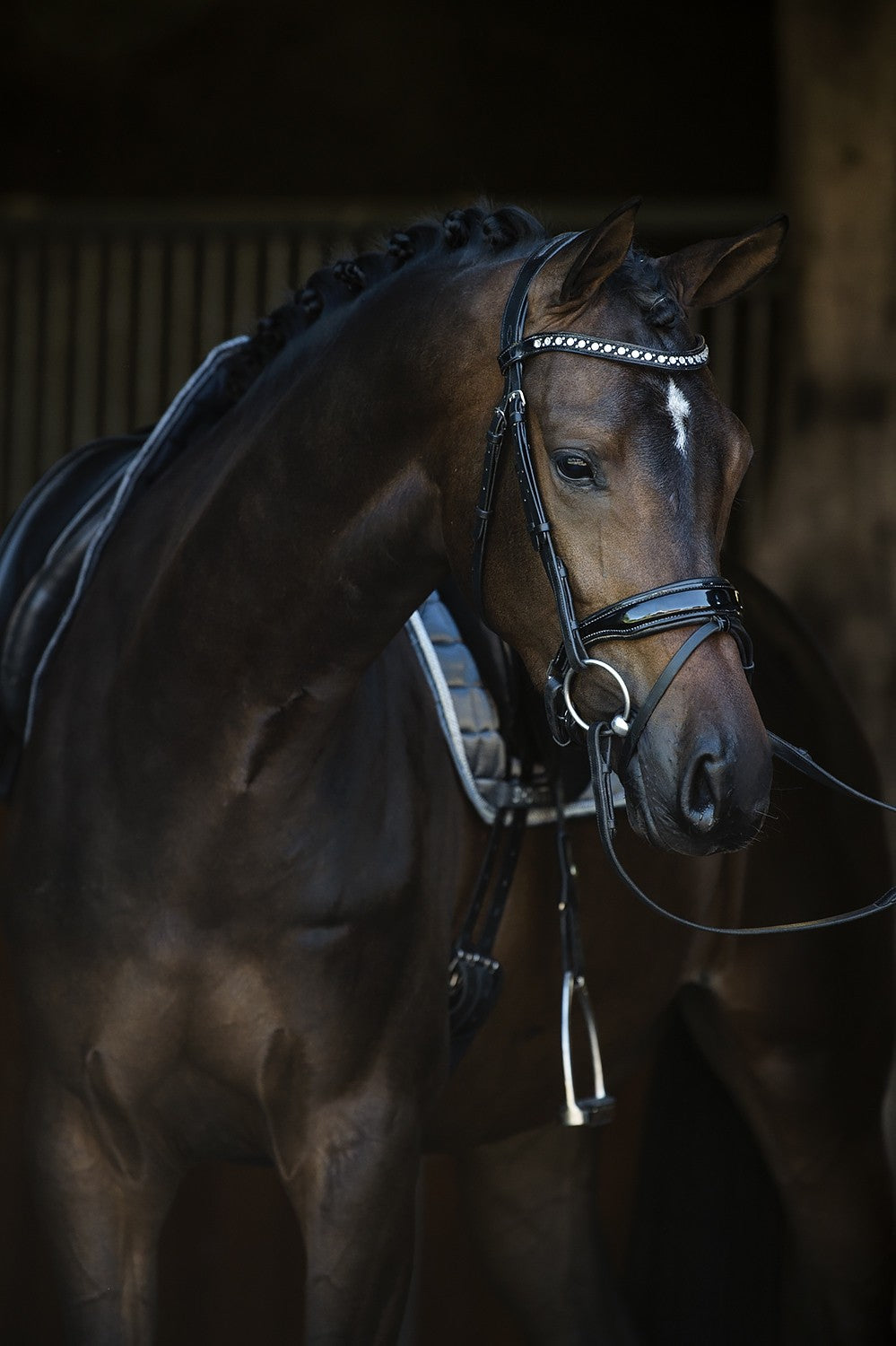 HB Showtime Hoofdstel Armani