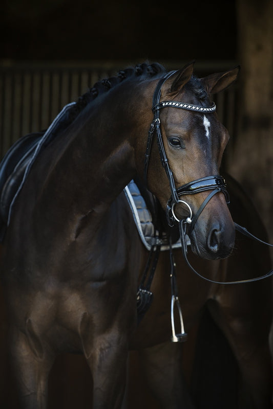 HB Showtime Hoofdstel Armani