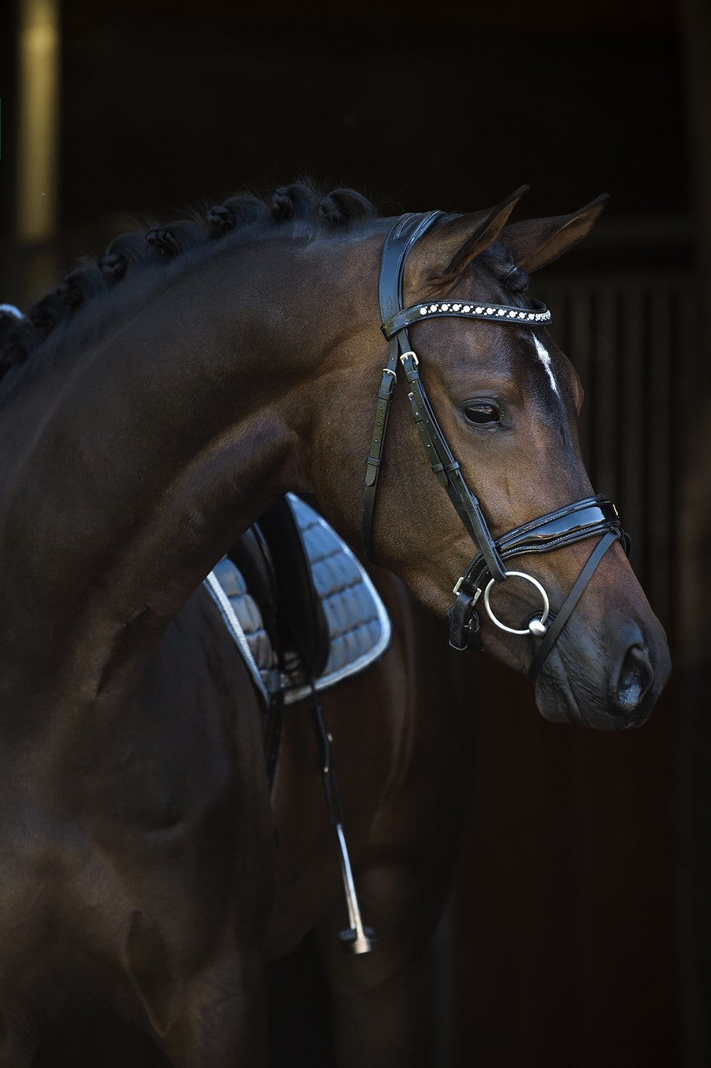 HB Showtime Hoofdstel Armani