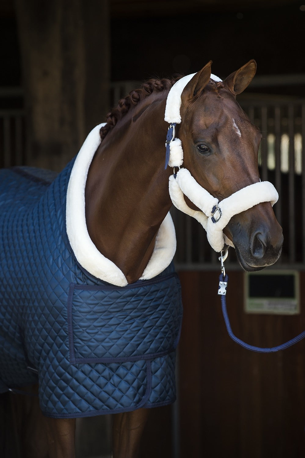 HB Showtime showdeken Desir