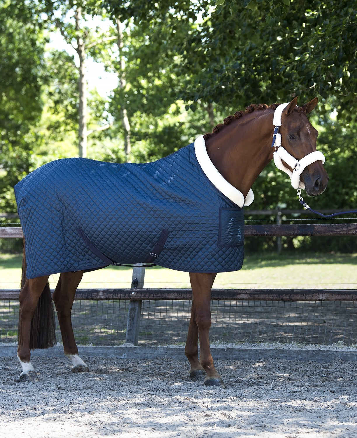 HB Showtime showdeken Desir