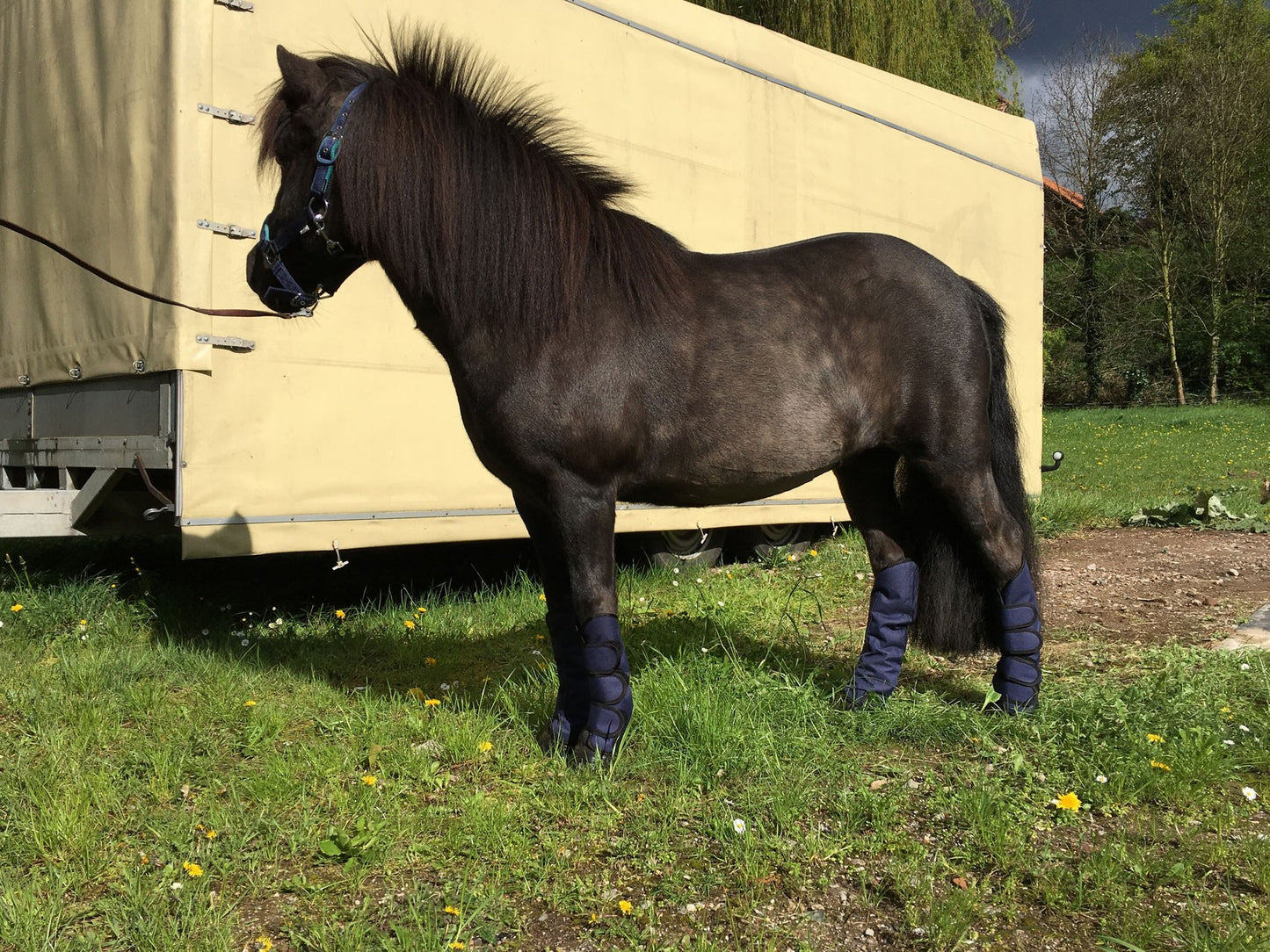 HB transport beschermers little sizes