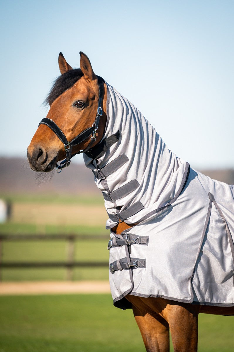 HB Vliegendekens met halsstuk