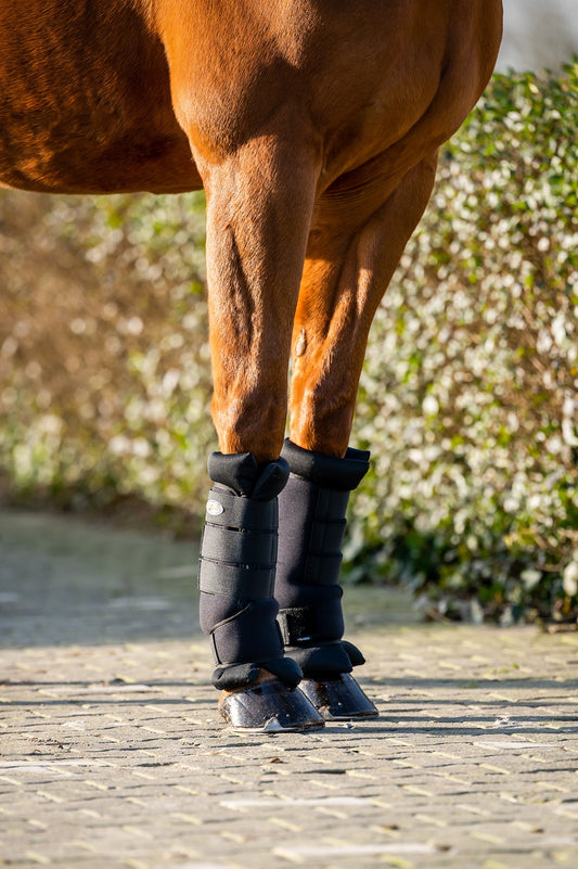 HB Showtime Stal en Transportbeschermers