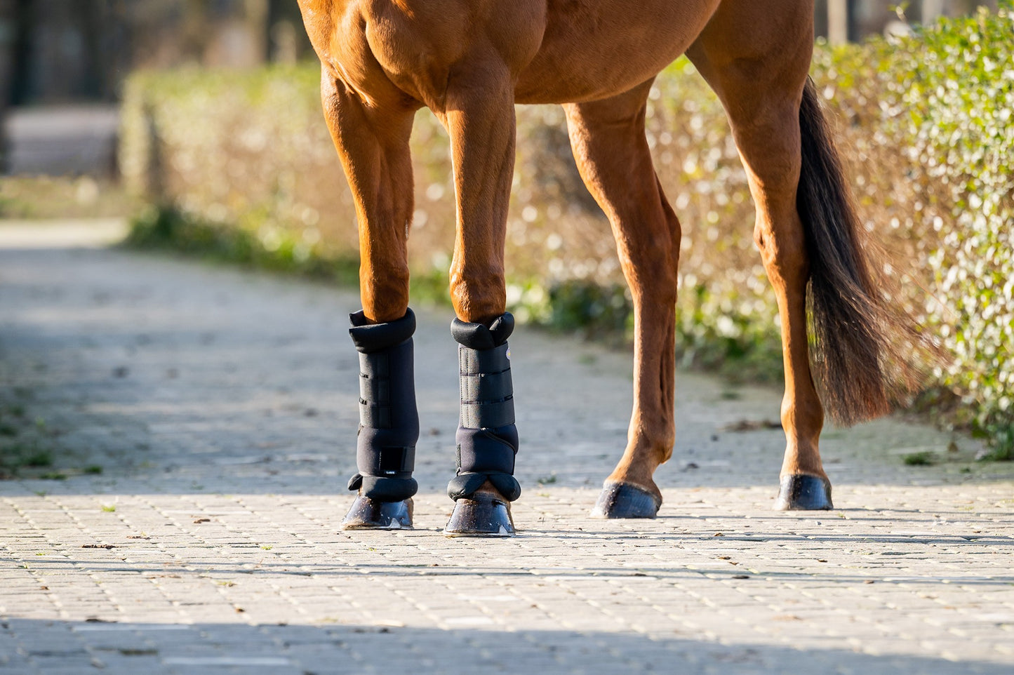 HB Showtime Stal en Transportbeschermers